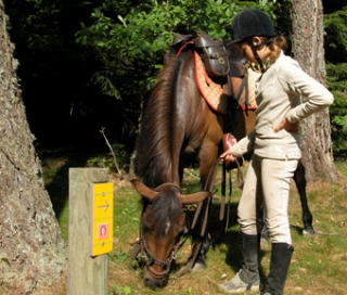  Passeios a cavalo para jovens 